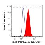 Importin Beta Antibody in Flow Cytometry (Flow)