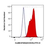 EXOSC9 Antibody in Flow Cytometry (Flow)