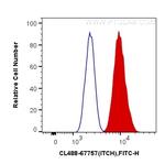 ITCH Antibody in Flow Cytometry (Flow)