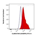 SH3BP5 Antibody in Flow Cytometry (Flow)