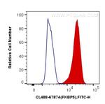 FKBP5 Antibody in Flow Cytometry (Flow)