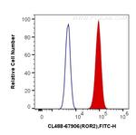 ROR2 Antibody in Flow Cytometry (Flow)