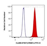 CREB1 Antibody in Flow Cytometry (Flow)