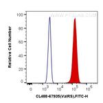 ValRS Antibody in Flow Cytometry (Flow)