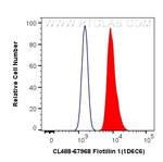 Flotillin 1 Antibody in Flow Cytometry (Flow)