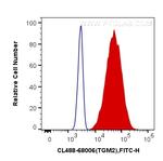 TGM2 Antibody in Flow Cytometry (Flow)