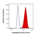 ACOX1 Antibody in Flow Cytometry (Flow)