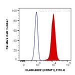 CRMP1 Antibody in Flow Cytometry (Flow)