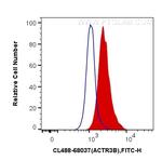 ACTR3B Antibody in Flow Cytometry (Flow)