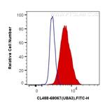 UBA3 Antibody in Flow Cytometry (Flow)