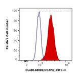 NCAPG Antibody in Flow Cytometry (Flow)