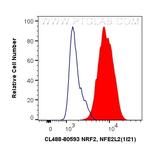 NRF2/NFE2L2 Antibody in Flow Cytometry (Flow)