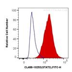 STAT3 Antibody in Flow Cytometry (Flow)