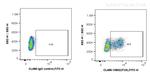 Geminin Antibody in Flow Cytometry (Flow)