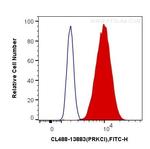 PKC Iota Antibody in Flow Cytometry (Flow)