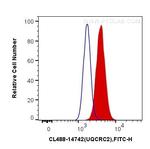 UQCRC2 Antibody in Flow Cytometry (Flow)