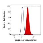 ACLY Antibody in Flow Cytometry (Flow)