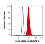 Cyclin A2 Antibody in Flow Cytometry (Flow)