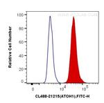 ATOH1 Antibody in Flow Cytometry (Flow)