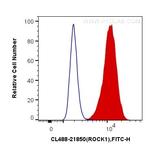 ROCK1 Antibody in Flow Cytometry (Flow)