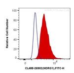 NDRG1 Antibody in Flow Cytometry (Flow)