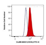 CDC6 Antibody in Flow Cytometry (Flow)