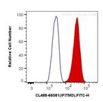 IFITM2/3 Antibody in Flow Cytometry (Flow)