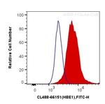 HBE1 Antibody in Flow Cytometry (Flow)