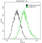 Calpastatin Antibody in Flow Cytometry (Flow)