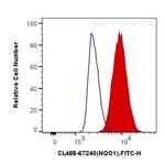 NQO1 Antibody in Flow Cytometry (Flow)