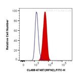 MFN2 Antibody in Flow Cytometry (Flow)