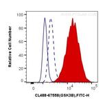 Phospho-GSK3B (Ser9) Antibody in Flow Cytometry (Flow)