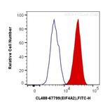 EIF4A2 Antibody in Flow Cytometry (Flow)