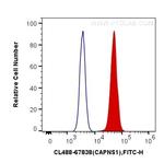 CAPNS1 Antibody in Flow Cytometry (Flow)