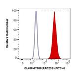 RAD23B Antibody in Flow Cytometry (Flow)