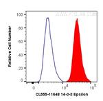 14-3-3 Epsilon Antibody in Flow Cytometry (Flow)