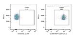 CD54 (ICAM-1) Antibody in Flow Cytometry (Flow)