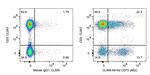 CD73 Antibody in Flow Cytometry (Flow)