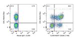 CD226 Antibody in Flow Cytometry (Flow)