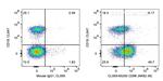 CD96 Antibody in Flow Cytometry (Flow)