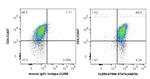 STAT4 Antibody in Flow Cytometry (Flow)