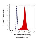 Phospho-STK11 (Thr189) Antibody in Flow Cytometry (Flow)