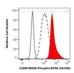 Phospho-S6 Ribosomal protein (Ser236) Antibody in Flow Cytometry (Flow)