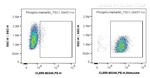 Phospho-Hamartin/TSC1 (Ser511) Antibody in Flow Cytometry (Flow)