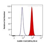 MUM1/IRF4 Antibody in Flow Cytometry (Flow)