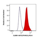 TFAP2C Antibody in Flow Cytometry (Flow)