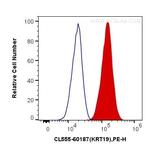 Cytokeratin 19 Antibody in Flow Cytometry (Flow)