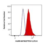 PTPN11 Antibody in Flow Cytometry (Flow)