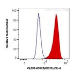 DDX5 Antibody in Flow Cytometry (Flow)