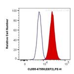 EEF2 Antibody in Flow Cytometry (Flow)